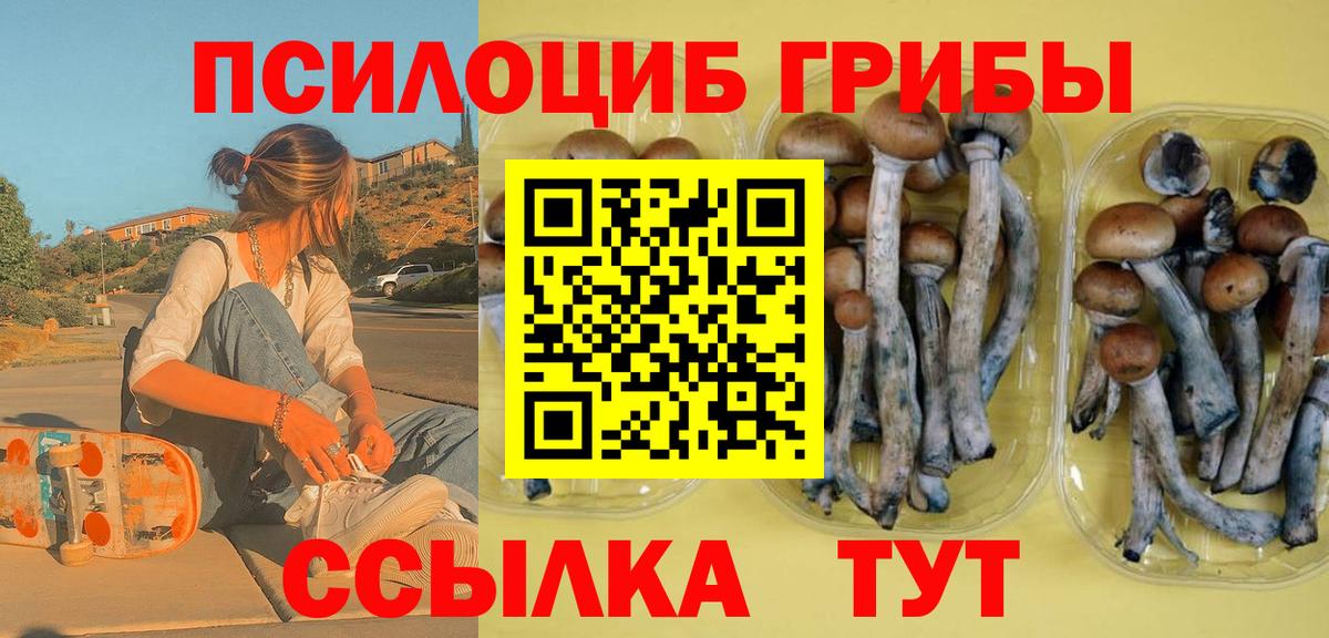 Псилоцибиновые грибы мухоморы Отрадный